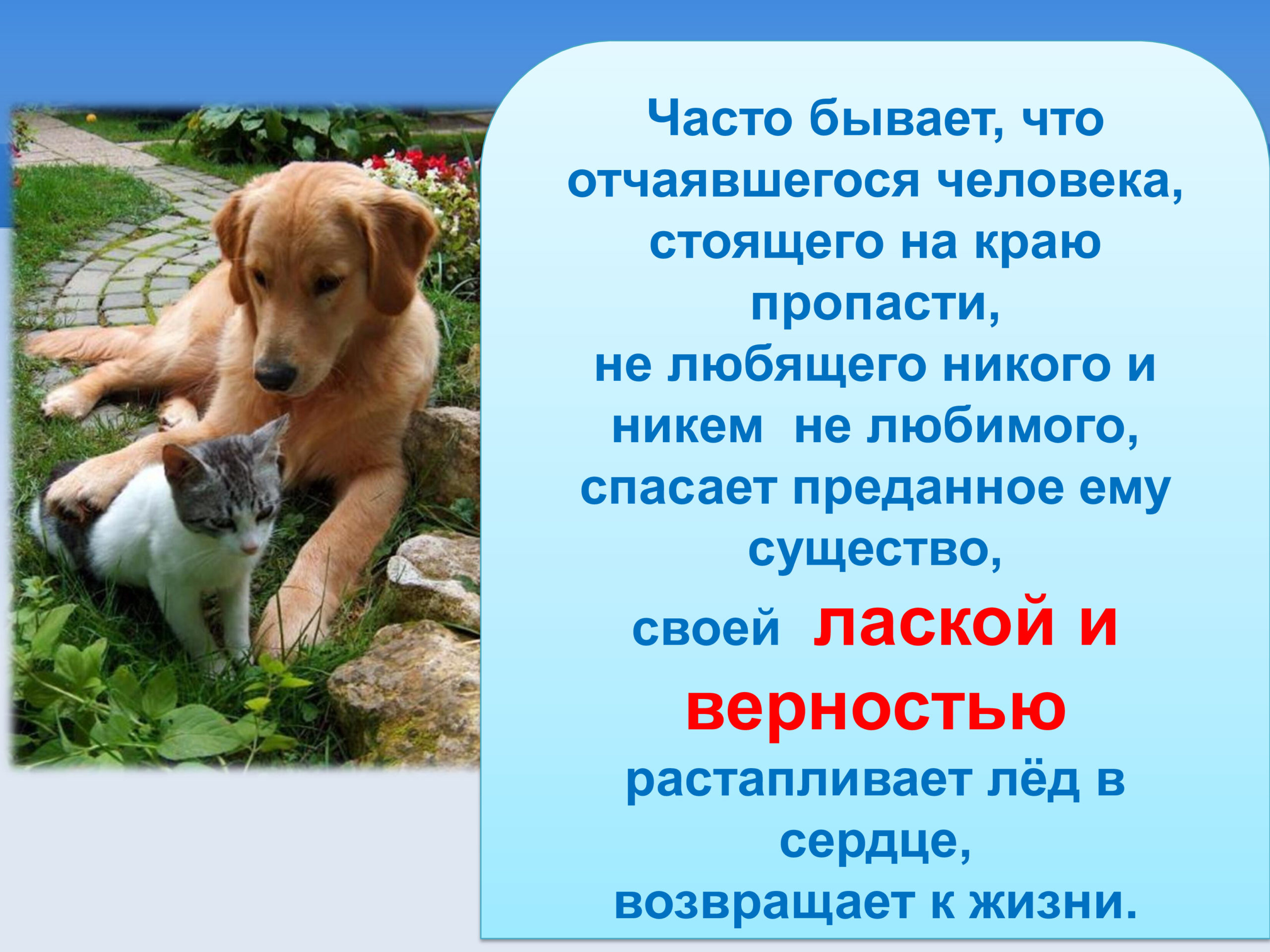 Что помогает людям не отчаяться